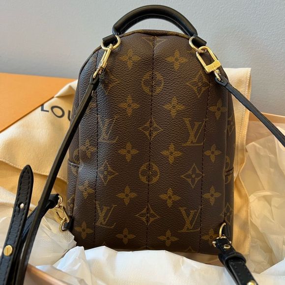 LOUIS VUITTON (LV) PALM SPRINGS MINI BACKPACK - Picture 2 of 14